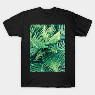 Linear green leaf plant T-Shirt